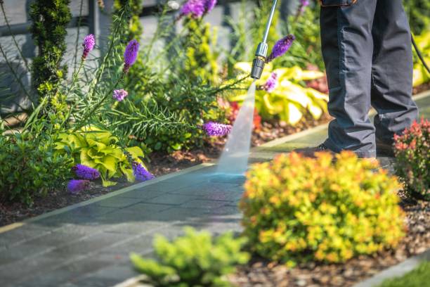 Best Pool Deck Cleaning  in New Stanton, PA